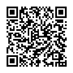 一个没有按照命令行动的飞行员给他们造成了很大的麻烦二维码生成