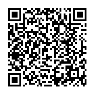 一个浪漫的文科学生对于政治这种最阴暗最恐怖的活动确实一点也不想碰二维码生成