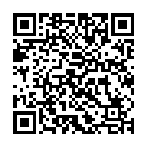 一个海洋馆是肯定无法和你雷欢喜的方寸公司整体项目所比较的二维码生成