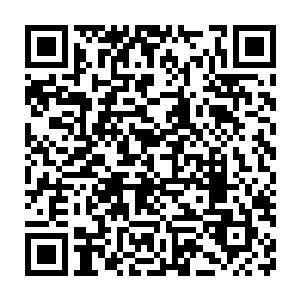 一个玩家召唤出的蝎尾狮射出的几根尖刺穿过了伤痕累累的浮游装甲二维码生成