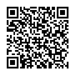 一个用着先天仙宝的符笔和地尊初期的妖兽皮以及血液二维码生成