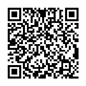 一个精神力数据接口瞬间将雷林的芯片和小精灵联系在一起二维码生成