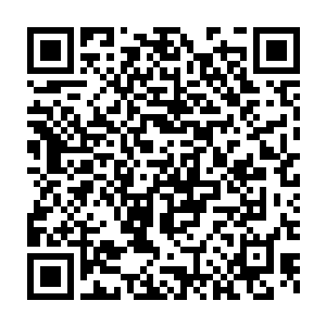 一个结丹期的大修士抓住一个炼气期的菜鸟的结果是结丹期大修士死了二维码生成