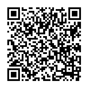一个绝对厚颜无耻恬不知耻的家伙捧起了一条像蚕宝宝一样的奇怪生物二维码生成