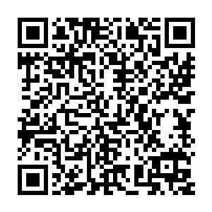 一个被废了修为又圈进起来的太子……又如何抵挡的了苏皇后的手段呢二维码生成