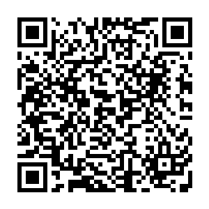 一个赵纯良的手下拿着一个林思伊带来京城的手提包出现在了众人的面前二维码生成