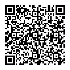 一个黄皮肤的亚洲人 站在比武台的中央 看着那升到自己这一楼的电梯 面带微笑二维码生成