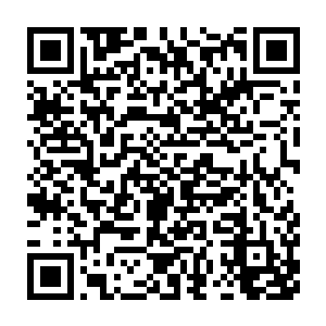 一些不认识杨晨的弟子正好趁此机会一睹杨晨这位灵谷谷主的风采二维码生成