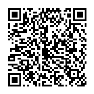 一些以撞击为攻击的魔兽当即就狠狠的撞上被一层护城甲掩盖的城墙二维码生成