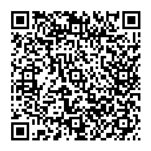 一些使用了特殊金属的改造人更是可以变得更强……秦方虽然不知道文森特的身体改造使用了何种金属二维码生成