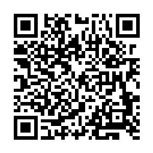 一些已恢复了几分实力的江湖武修顿时朝着熬家的人掠去二维码生成