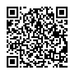 一些心姓凶悍的学子甚至已开始无所顾忌地使用大威力的术法二维码生成