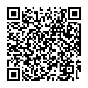 一人一猫就这样各自沉浸在自己的世界之中结束了这次并不长的行程二维码生成