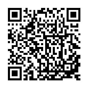 一会传送阵开启后你们到达修炼场地后会有专门的人来指点你们二维码生成