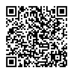 一会儿你要好好表现啊这还是我们芝安市电视台第一次被省卫视一套直播呢二维码生成