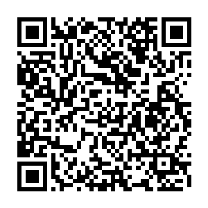 一会又梦到黄桂枝因为拒绝结扎而被王大孬带着一帮子人给逼得跳了小南河二维码生成