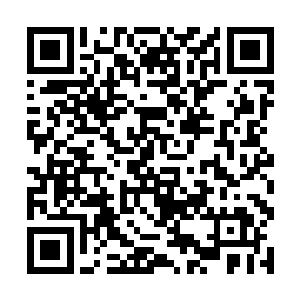 一位位仙台级别的大能率先开始对着巨灵界开始施法二维码生成