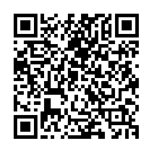 一位公认为玉州及济安郡地界医术最好的大夫给安氏交了个实底二维码生成