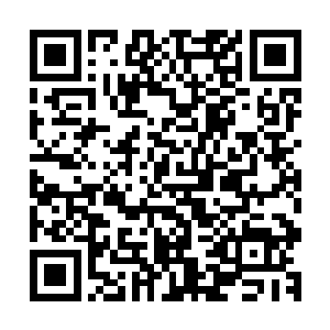 一位四十多岁的妇女在家门口看到杨念和秦宇三人路过的时候二维码生成