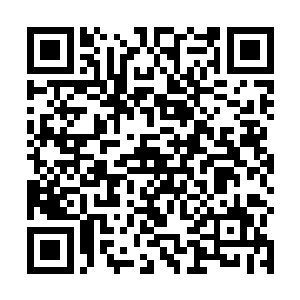 一位站在门边的佣人就帮着贝海拉开了那种和式的小门二维码生成
