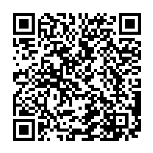 一位面白无须的小黄门在一干锦衣卫的护送下策马再次到了京城东南顺天贡院二维码生成