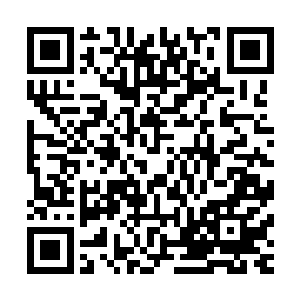 一具被巨狼啃咬撕扯得不成样子的人的尸体就出现在张铁面前二维码生成