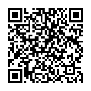 一出电梯便发现刘丽已经挺着大肚子站在电梯门口等他们了二维码生成
