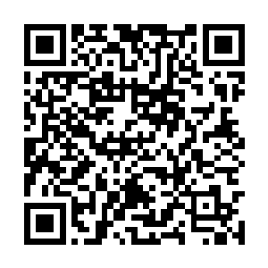 一分为二生长出新的细胞……筋骨也在不断的扩张二维码生成