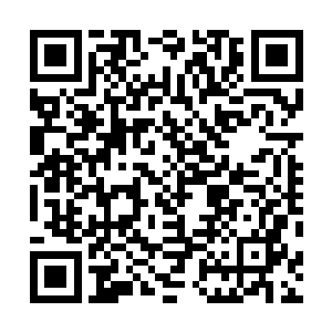 一分钟时间从三百张法宝结构图中挑选出威力最强的十张二维码生成