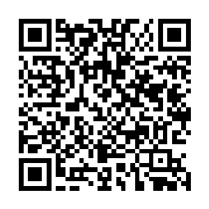 一切就像没有发生一样可是我明明感觉到他们真实的发生了二维码生成