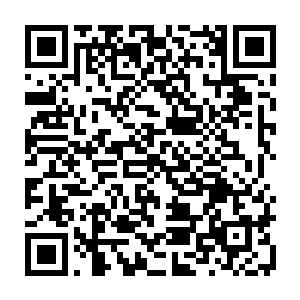 一切的一切都是为了有机会去看看自己生活过得那片小城如今是个什么样子二维码生成