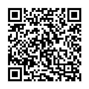 一切都不过是马纵横和织田勋长商议好的一场戏罢了二维码生成
