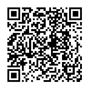 一则是不久之前从大衍剑宗的宗门核心之地继承的八位祖师所留的剑意种子二维码生成