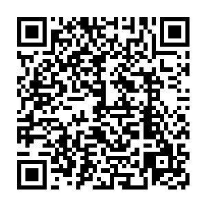 一则是对以后漂泊无定的未知生活的担心二则是怕从龙战口中听到拒绝的字眼二维码生成