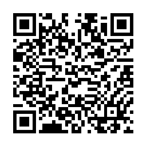 一刻钟便是杀死了四位而且还能全身而退不留下任何的线索二维码生成