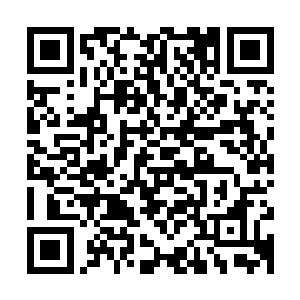 一副像是被缠绕了无数根藤蔓的老树的图像在黑板上被画了出来二维码生成