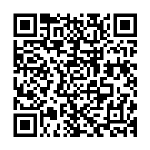 一副由这些确实骨肢拼凑而成的全新的骨骸缓慢在脑海中形成二维码生成