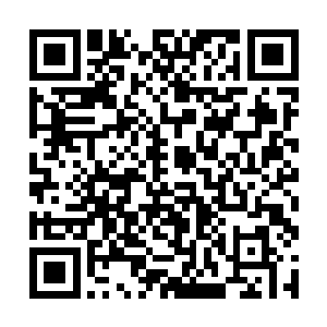 一动不动地看着凌予完全暴露在她眼前的那片黑森林二维码生成