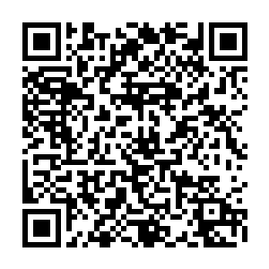一半乖巧的留在门中做……做工……另一半厉害的要供需给越州的兄弟门派二维码生成