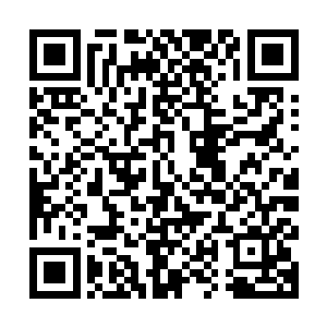 一双双眼睛也分明看到了林莫欣和凌浅情身后的张潇晗和宋辰砂二维码生成