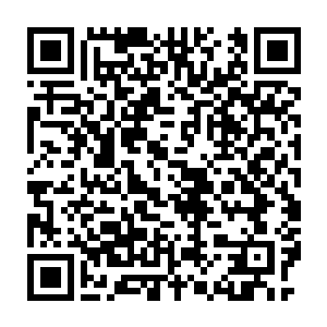 一双数丈长的白骨大手无声无息地自裂缝中伸出并把住裂缝的两边二维码生成