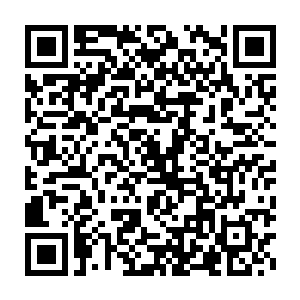 一双晶亮的大眼不可思议的盯着那枚已经回归到自家主人身边的蛋宝宝二维码生成