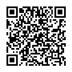 一双毒蛇一般的眼眸淡淡地扫过孤狼所在的房间二维码生成