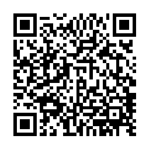 一双泛着无数血丝的桃花眼眯着对上他那双同样血红的双眼二维码生成