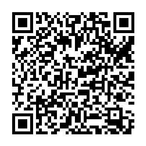 一双眼睛充满仇恨的怒火犹如一匹恶狼般的狠狠盯着剑尘和鸣东两人二维码生成