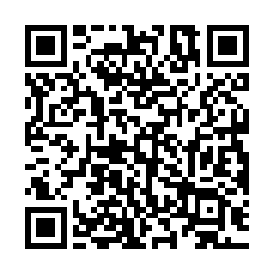 一双跟周怀轩小时候一样黑白分明的纯良双眸殷切地看着周承宗二维码生成