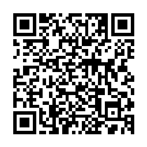 一反手也拔出了随身佩戴的坠满宝石的刀鞘里的弯刀对着叶璃二维码生成