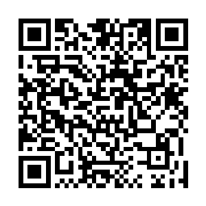 一变……二变……三变……他无所保留的全部施展了出来二维码生成