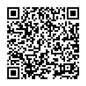 一口血 从他的嘴里喷出 而后 他的手 抓住了白袍老头的脖子二维码生成