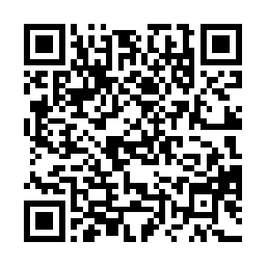 一口逆血差一点就喷出来了……他却是硬生生的忍住了二维码生成